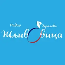 Radio Šljivovica logo